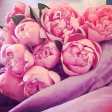 Cross stitch pattern: #930529