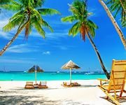 Cross stitch pattern: #930654