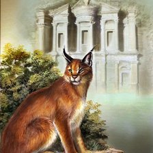 Cross stitch pattern: #931062