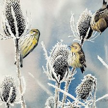 Cross stitch pattern: #931531