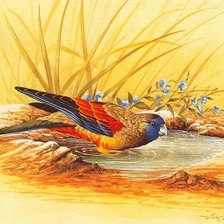 Cross stitch pattern: #931546