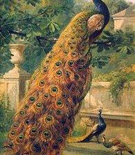 Cross stitch pattern: #931857