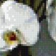 Preview of cross stitch pattern: #931912