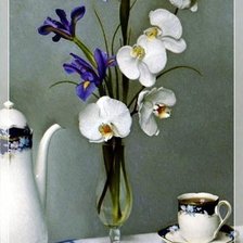 Cross stitch pattern: #931912