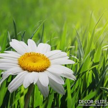 Cross stitch pattern: #931922