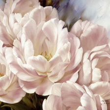 Cross stitch pattern: #932547