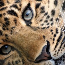 Cross stitch pattern: #932585