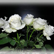 Cross stitch pattern: #932639