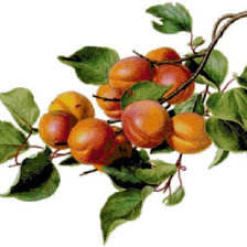 Cross stitch pattern: #932799