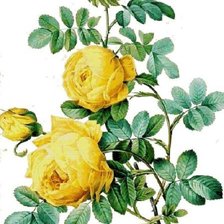 Cross stitch pattern: #932813