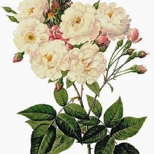 Cross stitch pattern: #932814