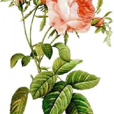 Cross stitch pattern: #932816