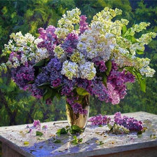 Cross stitch pattern: #932877