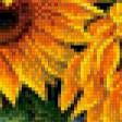 Preview of cross stitch pattern: #933919