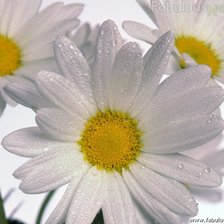 Cross stitch pattern: #934215