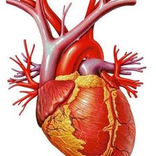 Cross stitch pattern: #935187