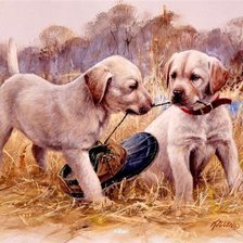 Cross stitch pattern: #935206
