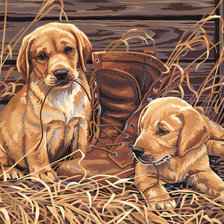Cross stitch pattern: #935210