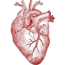 Cross stitch pattern: #935223