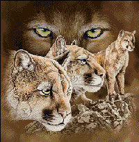 Cross stitch pattern: #935485