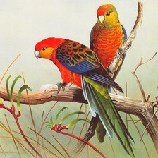 Cross stitch pattern: #936047