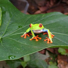 Cross stitch pattern: #937186