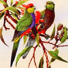 Cross stitch pattern: #938135