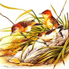 Cross stitch pattern: #938151