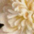 Preview of cross stitch pattern: #939016