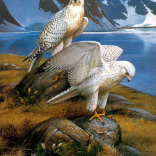 Cross stitch pattern: #939019