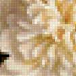 Preview of cross stitch pattern: #939207