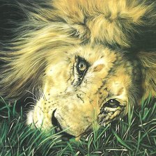 Cross stitch pattern: #939240