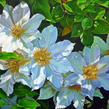 Cross stitch pattern: #939694