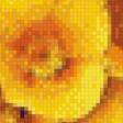 Preview of cross stitch pattern: #939727