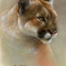 Cross stitch pattern: #939799