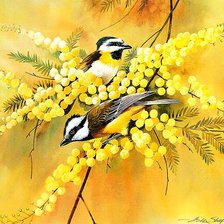 Cross stitch pattern: #941442