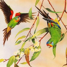 Cross stitch pattern: #941459