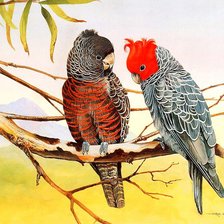 Cross stitch pattern: #941462