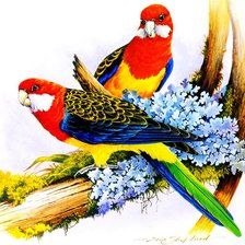 Cross stitch pattern: #942342