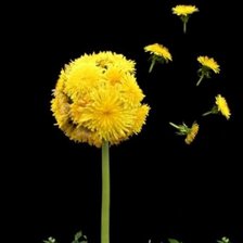 Cross stitch pattern: #942509