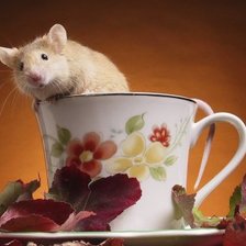 Cross stitch pattern: #942595