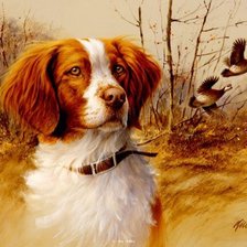 Cross stitch pattern: #943010