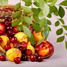 Cross stitch pattern: #943309