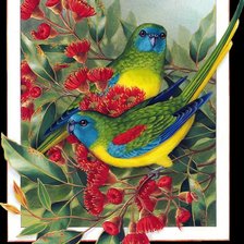 Cross stitch pattern: #943965