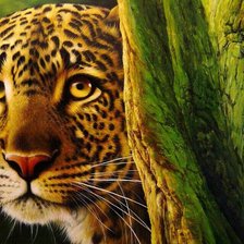 Cross stitch pattern: #947104