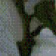 Preview of cross stitch pattern: #947570