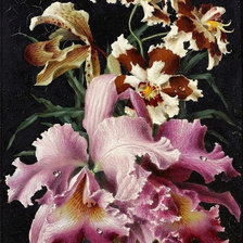 Cross stitch pattern: #947573