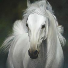 Cross stitch pattern: #948242