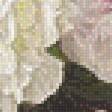 Preview of cross stitch pattern: #948277