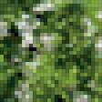 Preview of cross stitch pattern: #948826